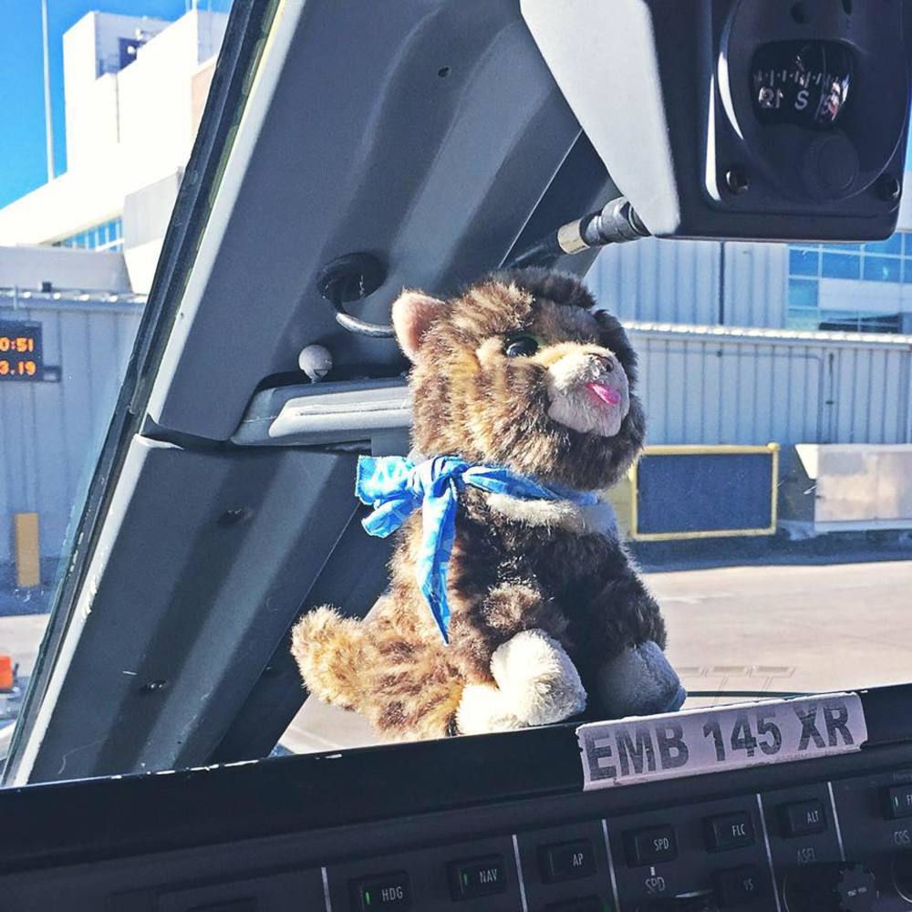 Meet your Posher, Bea